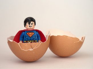 oeuf poids