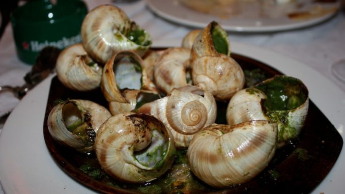 Combien De Temps Pour Réchauffer Des Escargots Combien de temps cuire des escargots